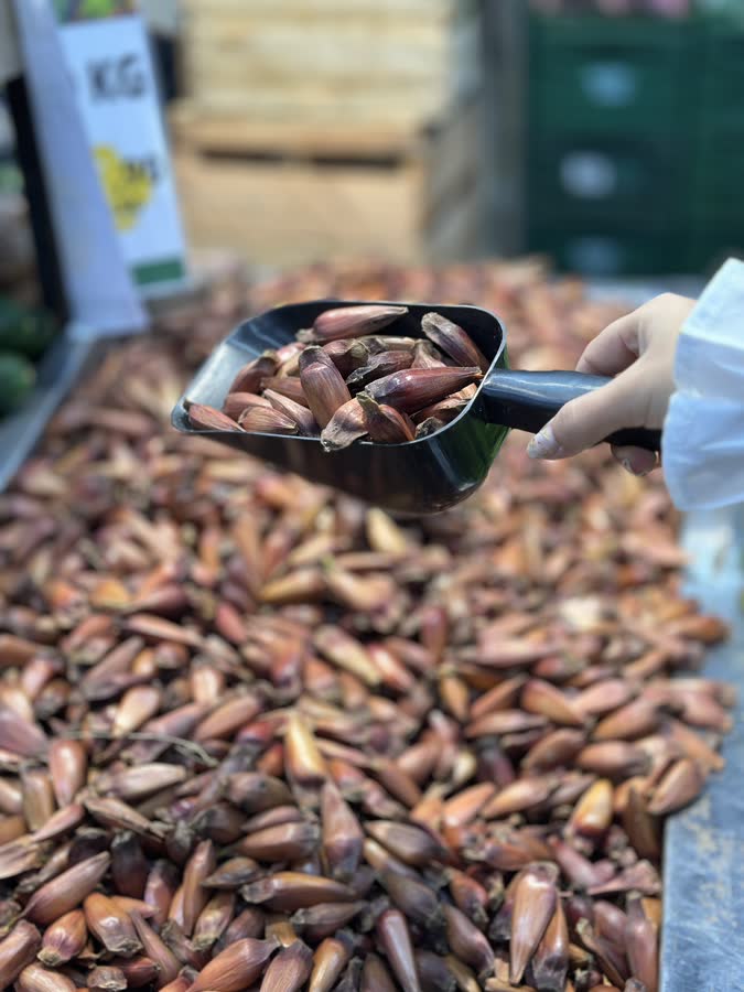 Pinhão a granel no hortifrúti do Supermercado Madi